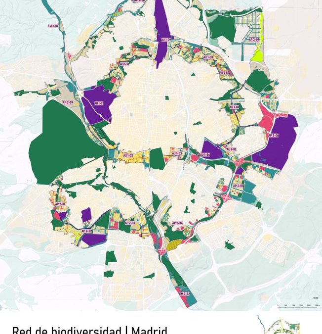 PROYECTO: Plan de fomento y gestión de la biodiversidad del Ayuntamiento de Madrid
